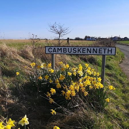 Ferienwohnung The Cambus Flat Cambuskenneth Stirling Exterior foto